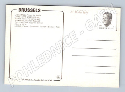 Pohlednice Brusel Grand Place květinový koberec noc (M16664)
