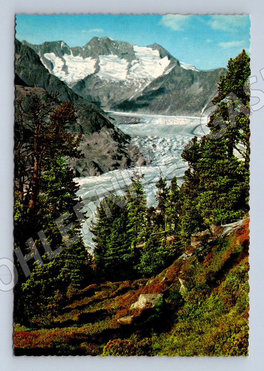 Pohlednice Aletschský ledovec Wallis Švýcarsko (M16705)