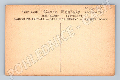 Pohlednice Chartres anděl katedrála stará (M16869)
