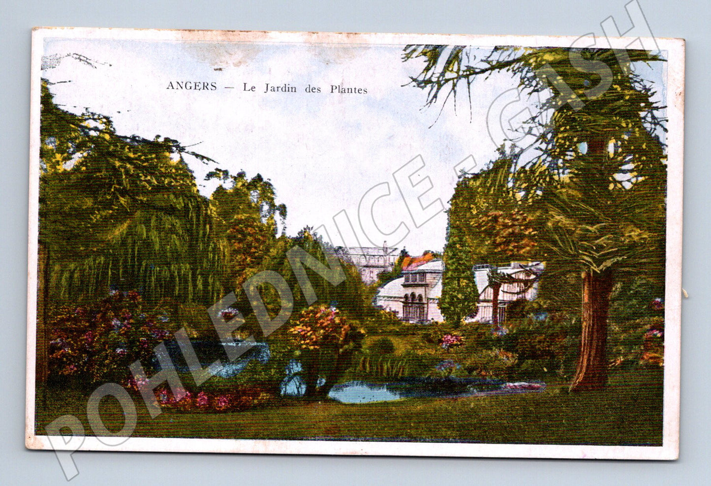 Pohlednice Angers Jardin des Plantes (M16992)