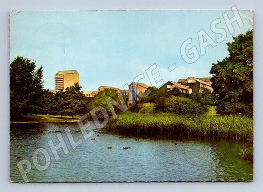 Pohlednice Aarhus 1965 univerzitní park (M17054)