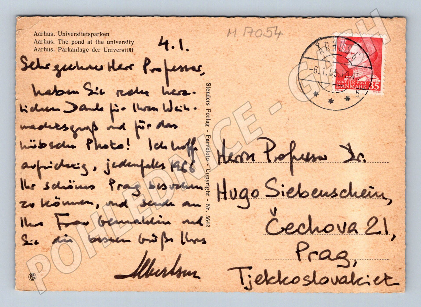 Pohlednice Aarhus 1965 univerzitní park (M17054)