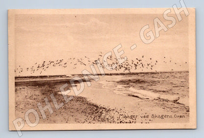 Pohlednice Skagen Gren rackové (M17059)