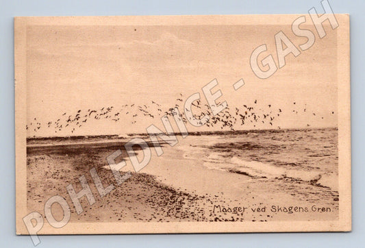 Pohlednice Skagen Gren rackové (M17059)