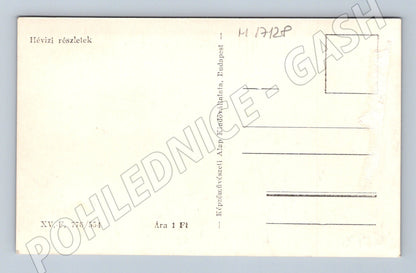 Pohlednice Hévíz koláž (M17128)