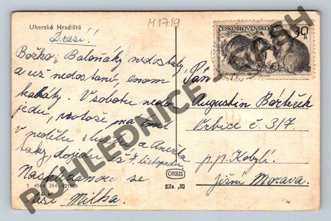Pohlednice Uherské Hradiště (M1719)