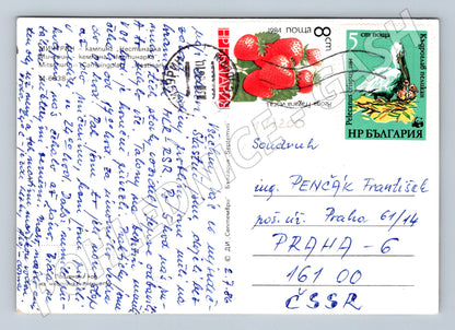 Pohlednice Kemp Nestinarka 1984 (M17200)