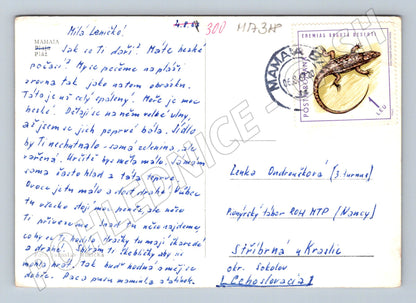 Pohlednice Mamaia pláž 1980 (M17318)