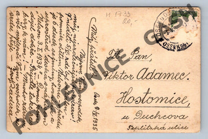 Pohlednice Osek Památník horníkům z Nelsonu III 1935 (M1733)