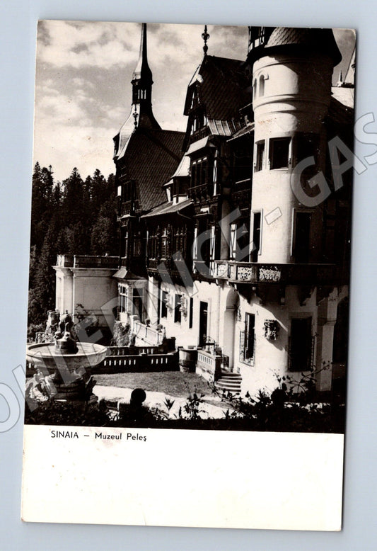 Pohlednice Sinaia muzeum Peleš 1971 (M17349)