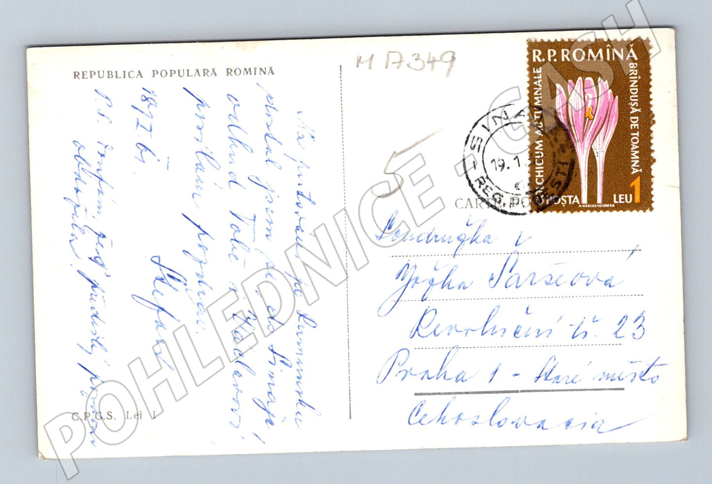 Pohlednice Sinaia muzeum Peleš 1971 (M17349)