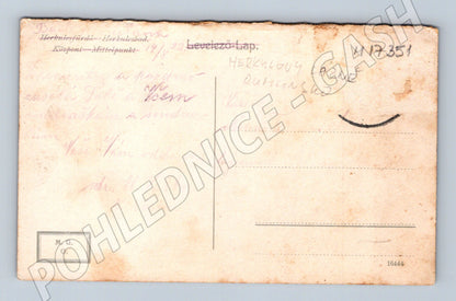 Pohlednice Băile Herculane lázně (M17351)