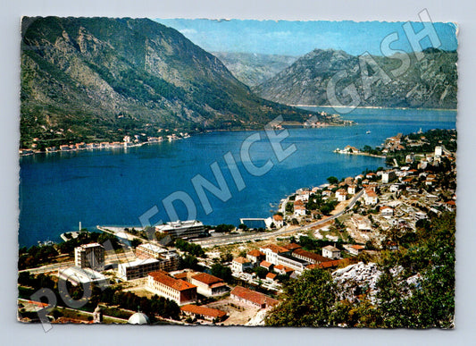 Pohlednice Kotor panorama 1981 (M17360)