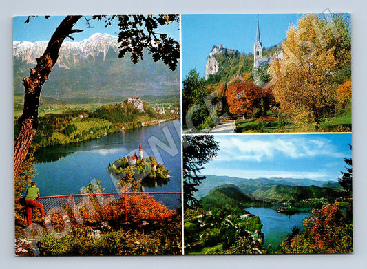 Pohlednice Bled jezero hrad panorama (M17383)