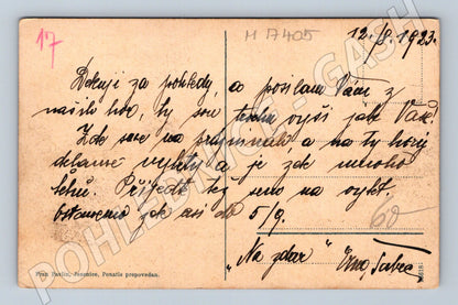 Pohlednice Kranjska Gora Alpy 1923 (M17405)