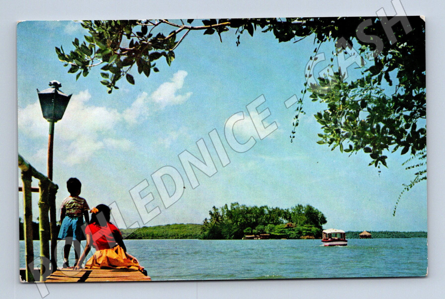 Pohlednice San Michele Ceylon exotická scéna 1980 (M17436)