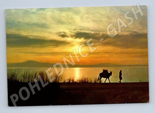 Pohlednice Řecko západ slunce osel silueta (M17464)
