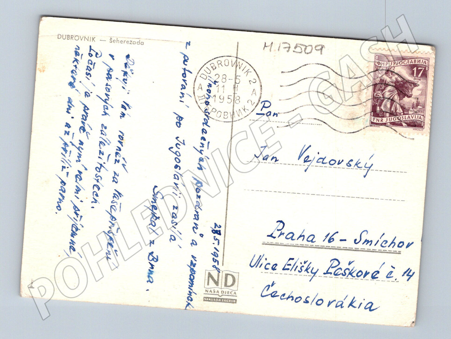Pohlednice Dubrovník 1958 vila Sheherazada Jugoslávie (M17509)