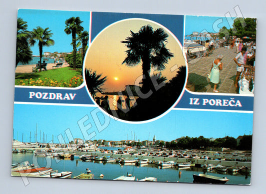 Pohlednice Poreč Jadran přístav palmy Chorvatsko (M17567)
