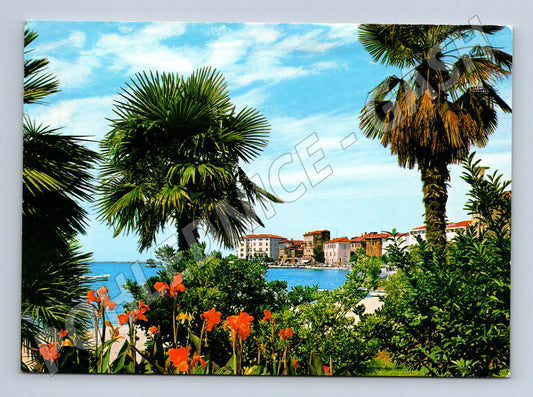 Pohlednice Poreč palmy moře středomořská krajina (M17570)