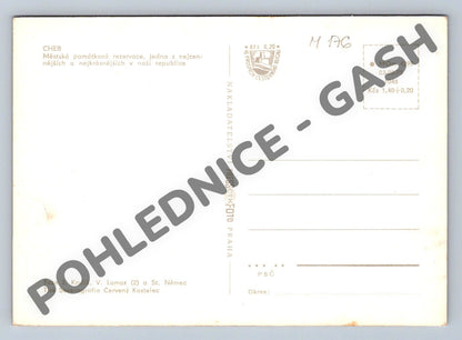 Pohlednice Cheb barevná pohlednice ČSSR 1975 (M176)