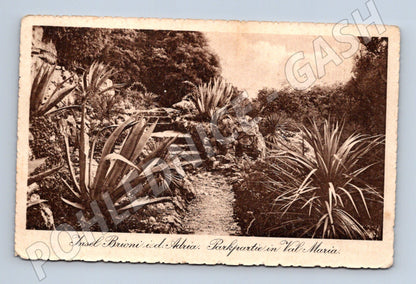 Pohlednice Insel Brioni Val Maria 1928 zaslaná do Prahy (M17604)