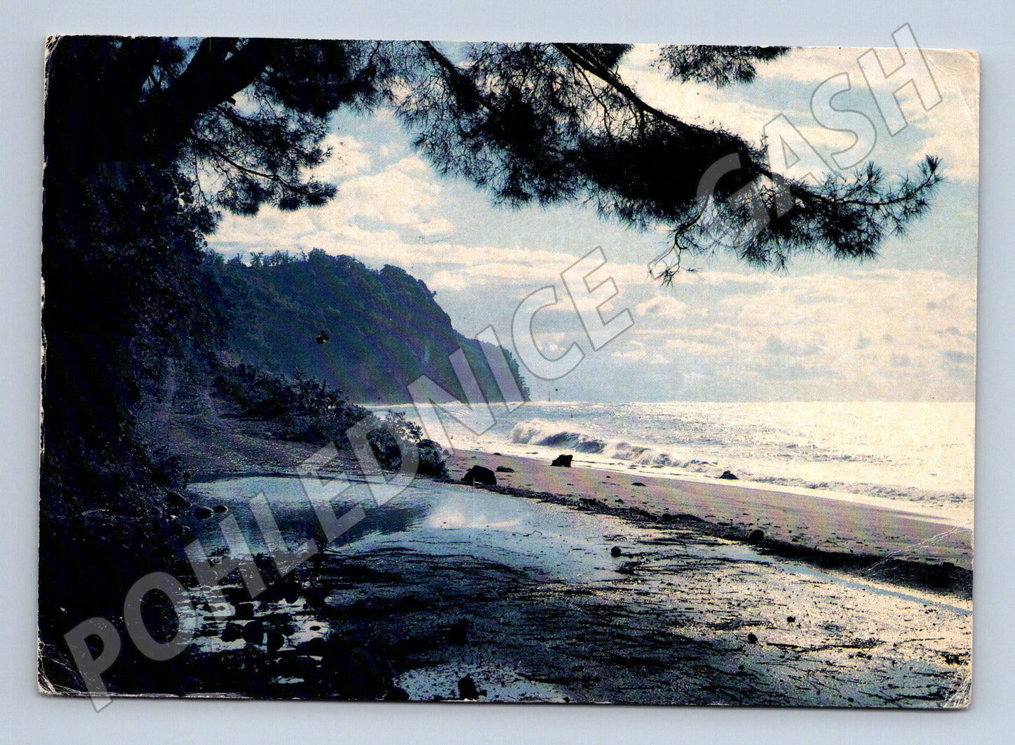 Pohlednice SSSR krajina u moře Pitsunda prošlá (M17638)