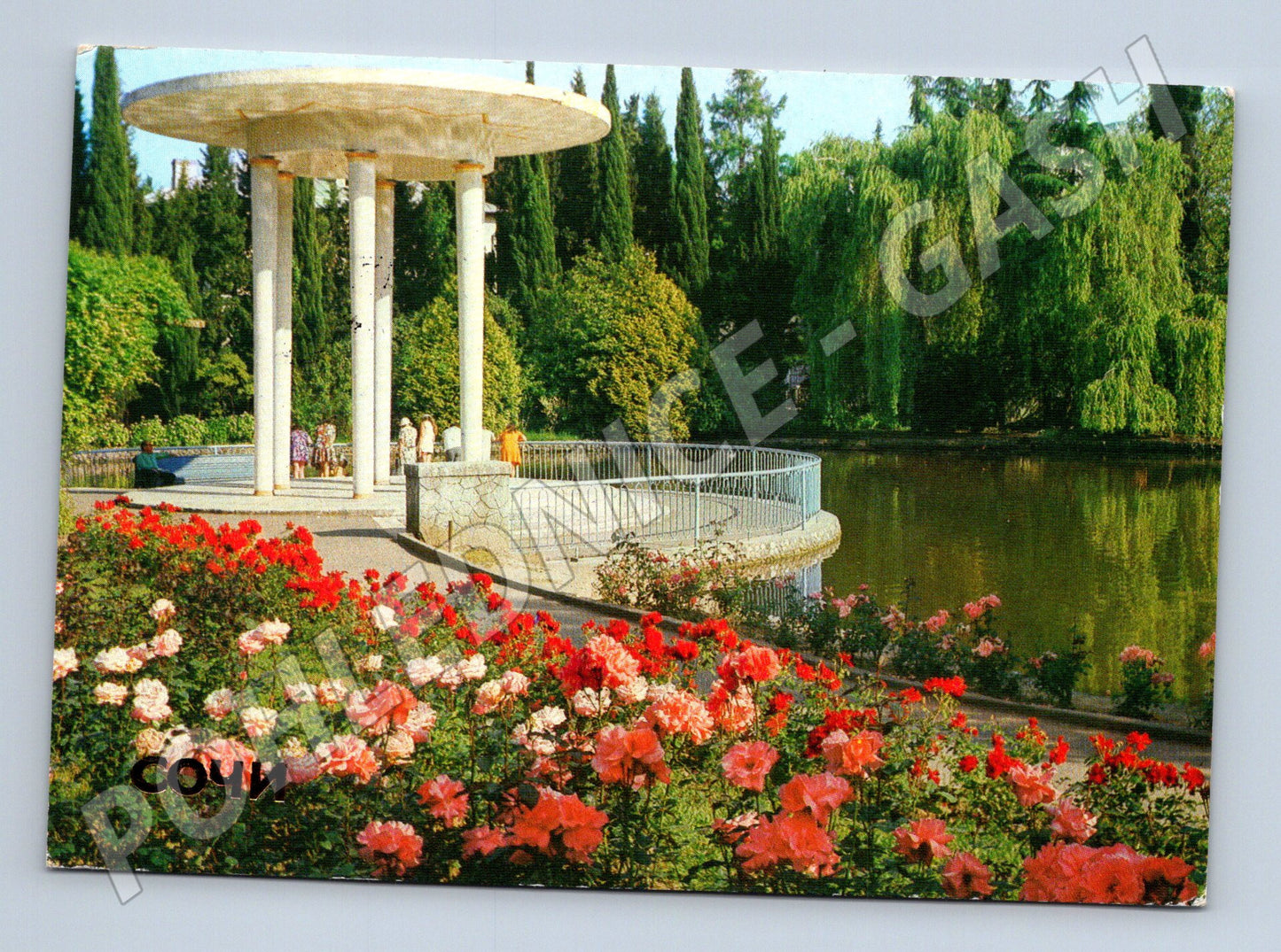 Pohlednice Soči arboretum Labutí jezero SSSR 1984 prošlá (M17644)