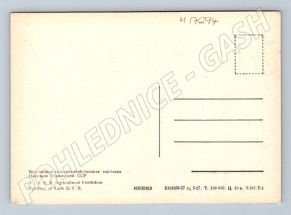 Pohlednice VDNCh pavilon Tádžické SSR Moskva 50. léta (M17694)