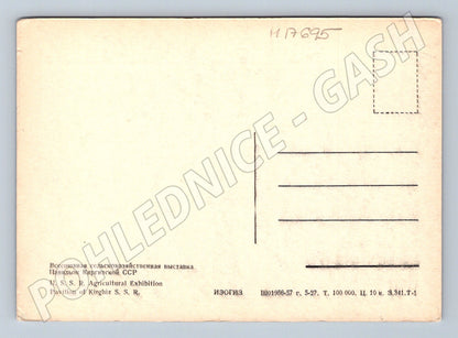 Pohlednice VDNCh pavilon Kyrgyzské SSR Moskva SSSR (M17695)