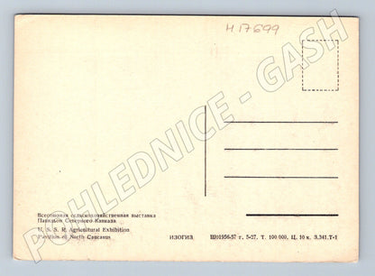 Pohlednice VDNCh pavilon Severního Kavkazu SSSR (M17699)