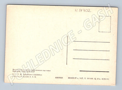 Pohlednice VDNCh pavilon Kazašské SSR Moskva 50. léta (M17702)