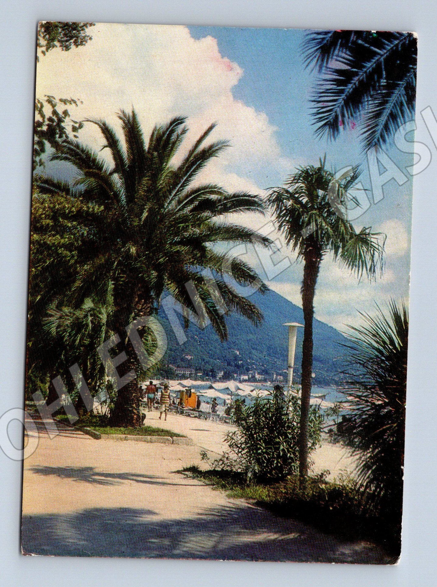 Pohlednice Gagra promenáda Černé moře SSSR 1975 (M17708)