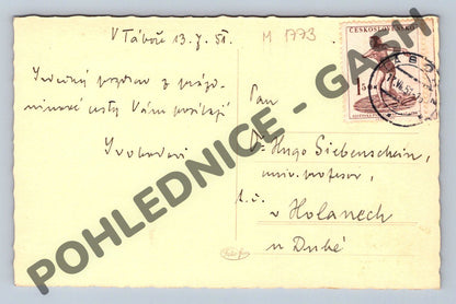 Pohlednice Tábor Partie u Lužnice 1957 (M1773)