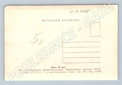 Pohlednice Moskva pomník Maxima Gorkého SSSR 1955 (M17795)