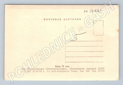 Pohlednice Moskva říční nádraží v Chimkách SSSR 1955 (M17823)