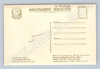 Pohlednice VDNCH Moskva pavilon Běloruské SSR SSSR 1955 (M17827)