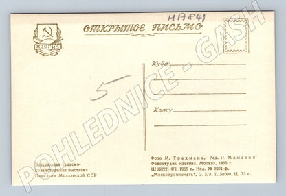 Pohlednice VDNH Moskva pavilon Moldavské SSR SSSR 1955 (M17841)