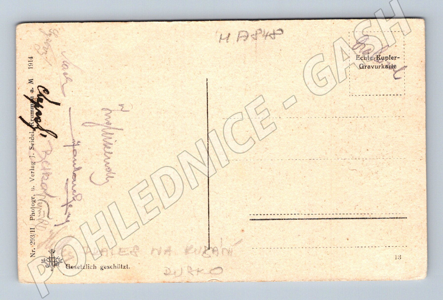 Pohlednice Urwald am Kubani starý les okolo 1914 (M17848)