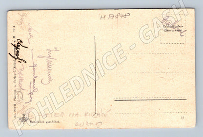 Pohlednice Urwald am Kubani starý les okolo 1914 (M17848)