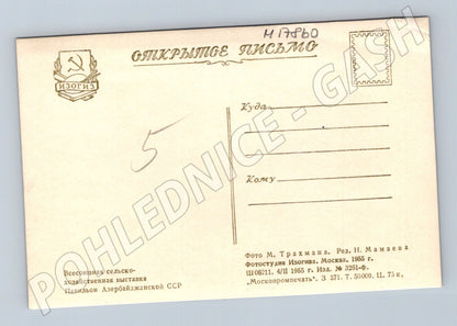 Pohlednice VDNCH Moskva pavilon Ázerbájdžán SSSR 1955 (M17860)