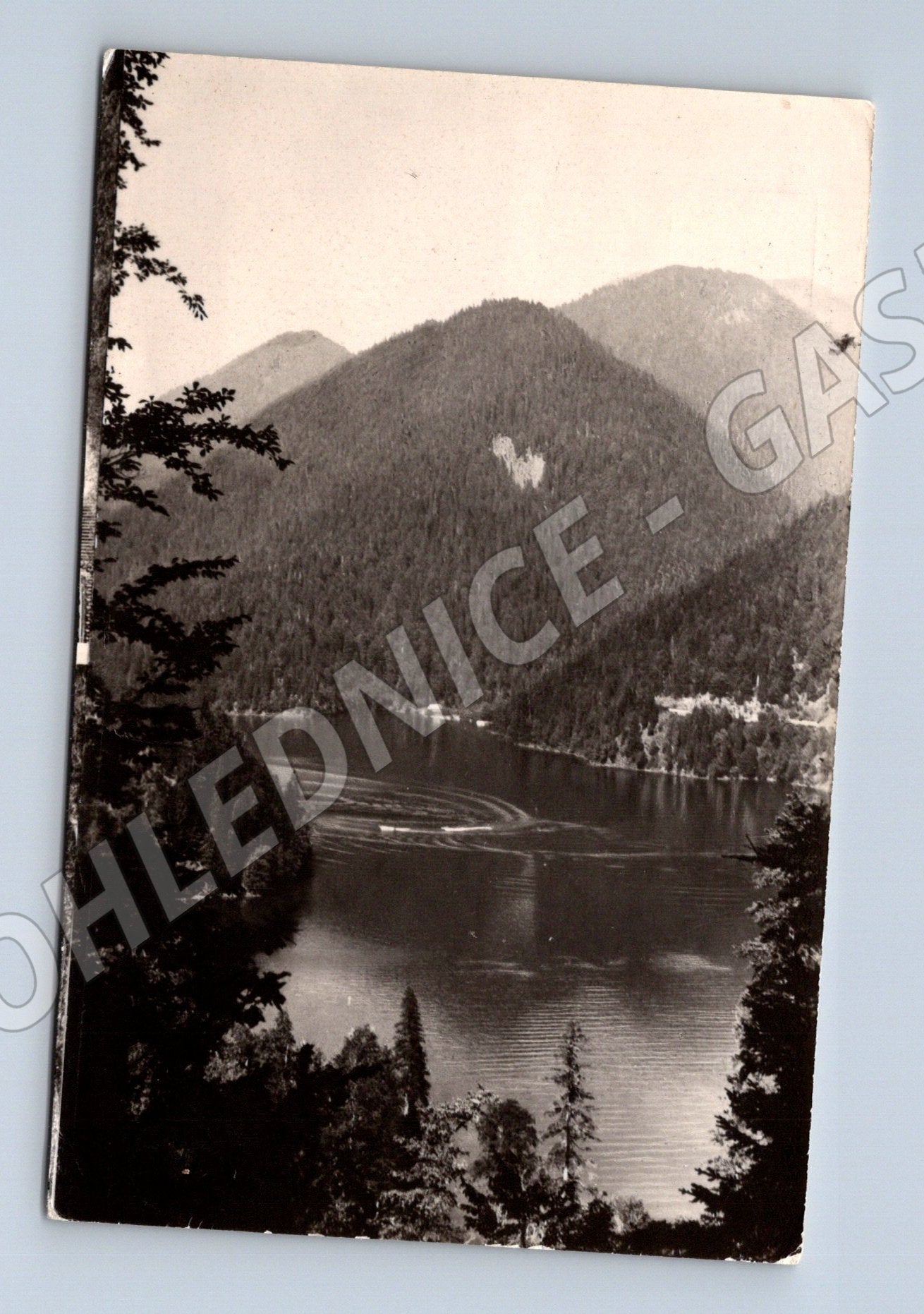 Pohlednice vysokohorské jezero Ritsa SSSR 1964 odeslaná (M17871)