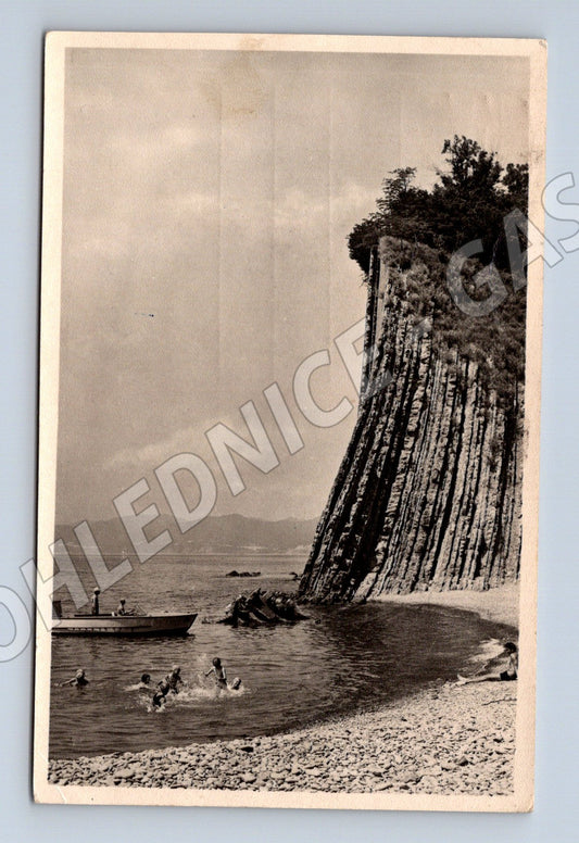 Pohlednice SSSR 1961 přírodní motiv známka (M17892)