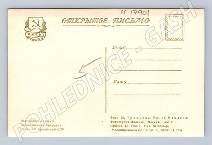 Pohlednice pavilon Arménské SSR VDNCh Moskva SSSR 1955 (M17901)