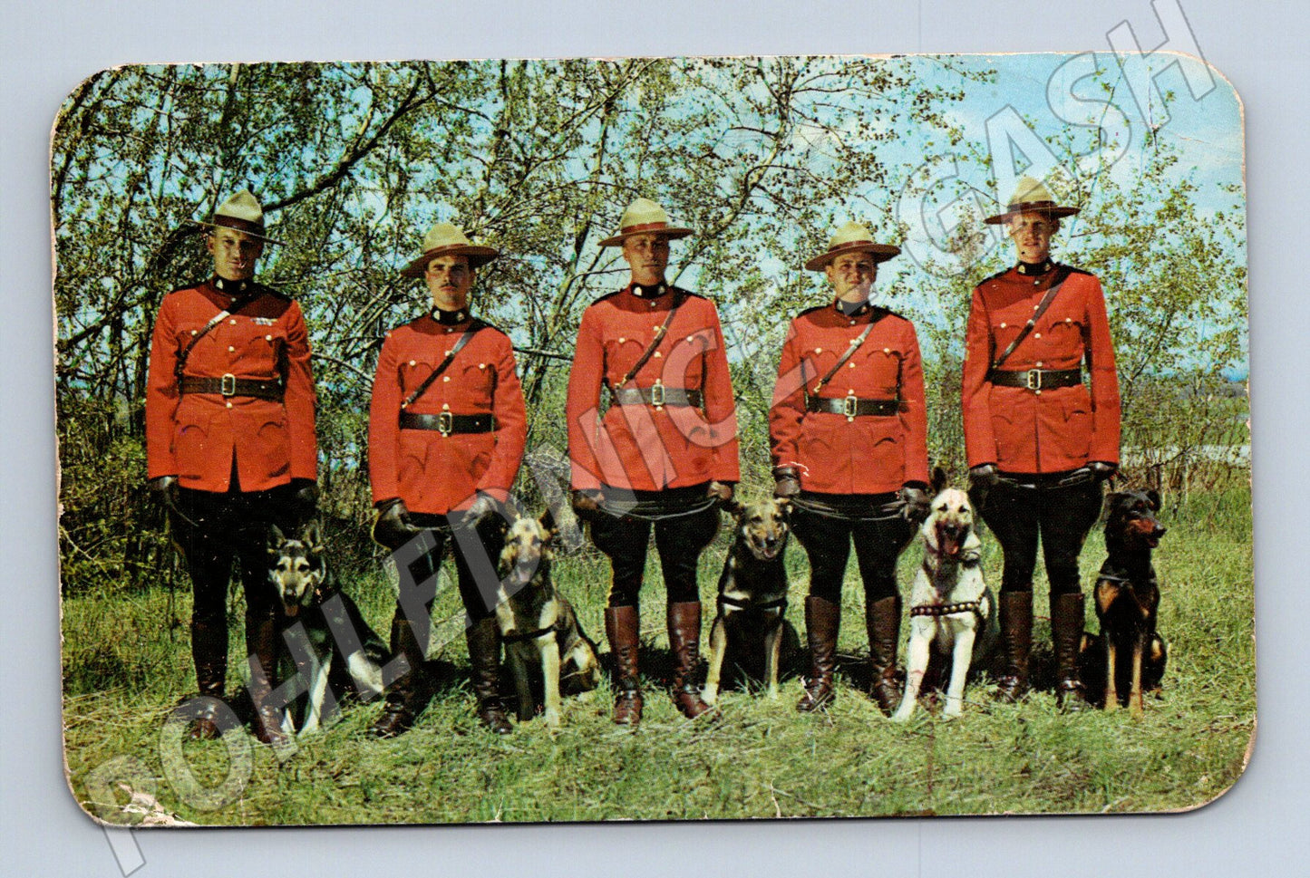 Pohlednice Kanada RCMP jízdní policie EXPO 1967 (M18075)