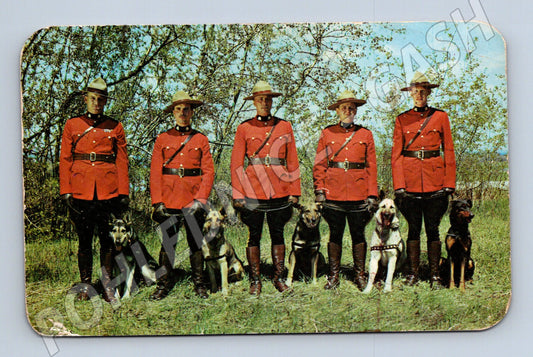 Pohlednice Kanada RCMP jízdní policie EXPO 1967 (M18075)