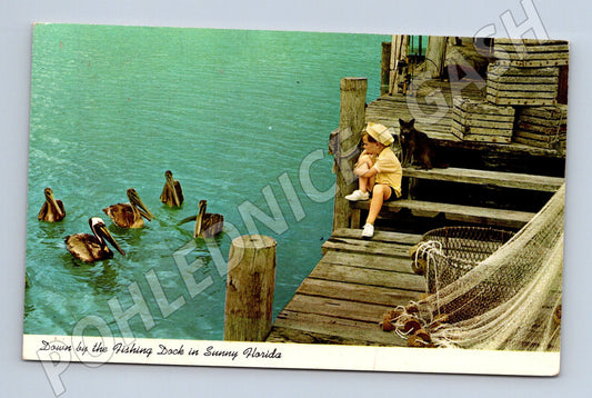 Pohlednice Florida 1975 dítě pes pelikáni (M18096)