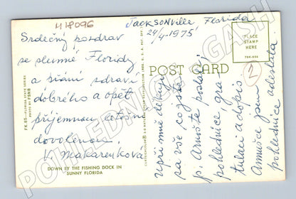 Pohlednice Florida 1975 dítě pes pelikáni (M18096)
