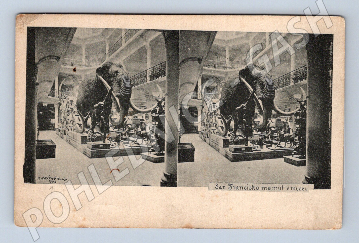 Pohlednice Národní muzeum Praha mamut (M18101)