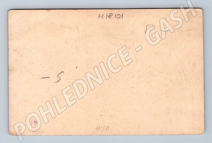 Pohlednice Národní muzeum Praha mamut (M18101)